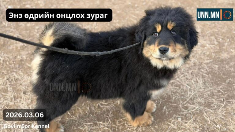 Монгол Банхар