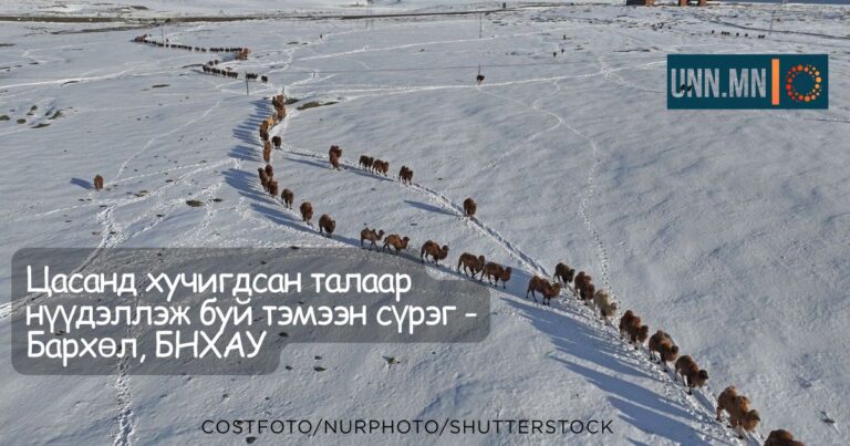 Онцлох зураг