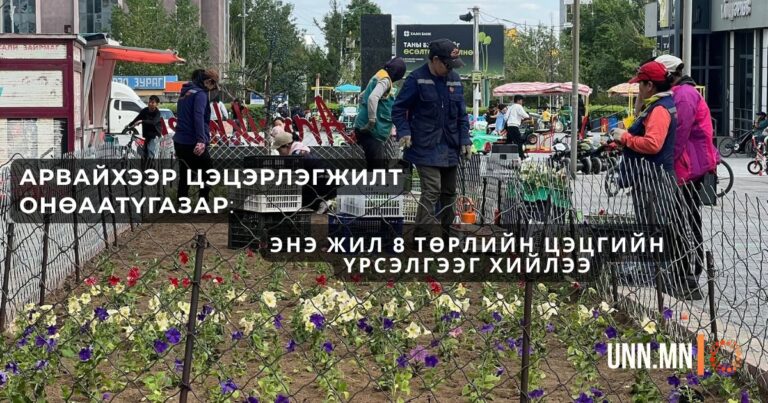 Арвайхээр Цэцэрлэгжилт ОНӨААТҮГазар: Энэ жил 8 төрлийн цэцгийн үрсэлгээг хийлээ