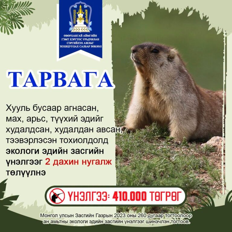 ӨВӨРХАНГАЙ АЙМГИЙН 6 СУМ ТАРВАГАН ТАХЛЫН ИДЭВХИТЭЙ ГОЛОМТТОЙ