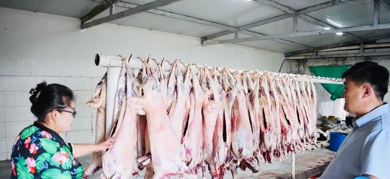 МАЛ, МАХ, МАХАН БҮТЭЭГДЭХҮҮНИЙ ХУДАЛДААЛАЛТАД ХЯНАЛТ ШАЛГАЛТ ХИЙЛЭЭ